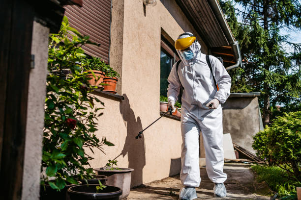 Best Pest Control for Businesses  in Amboy, IL