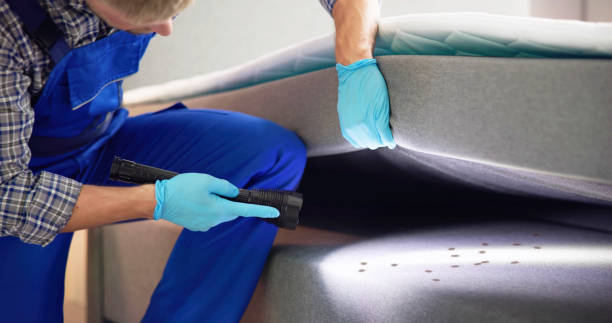 Best Cockroach Control Services  in Amboy, IL